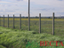 Участок фото 15