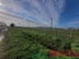 Участок фото 10