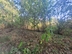 Участок фото 6