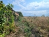 Участок фото 0