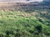 Участок фото 0