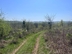 Участок фото 5