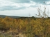 Участок фото 0