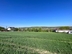 Участок фото 9