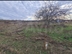 Участок фото 0