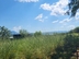 Участок фото 10