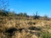 Участок фото 4