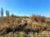 Участок фото 9