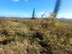 Участок фото 12