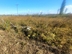 Участок фото 2