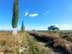 Участок фото 3
