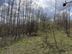 Участок фото 0