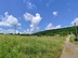 Участок фото 5