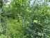 Участок фото 3