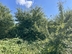 Участок фото 5