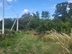 Участок фото 0