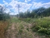Участок фото 6