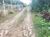 Участок фото 7