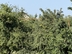 Участок фото 5